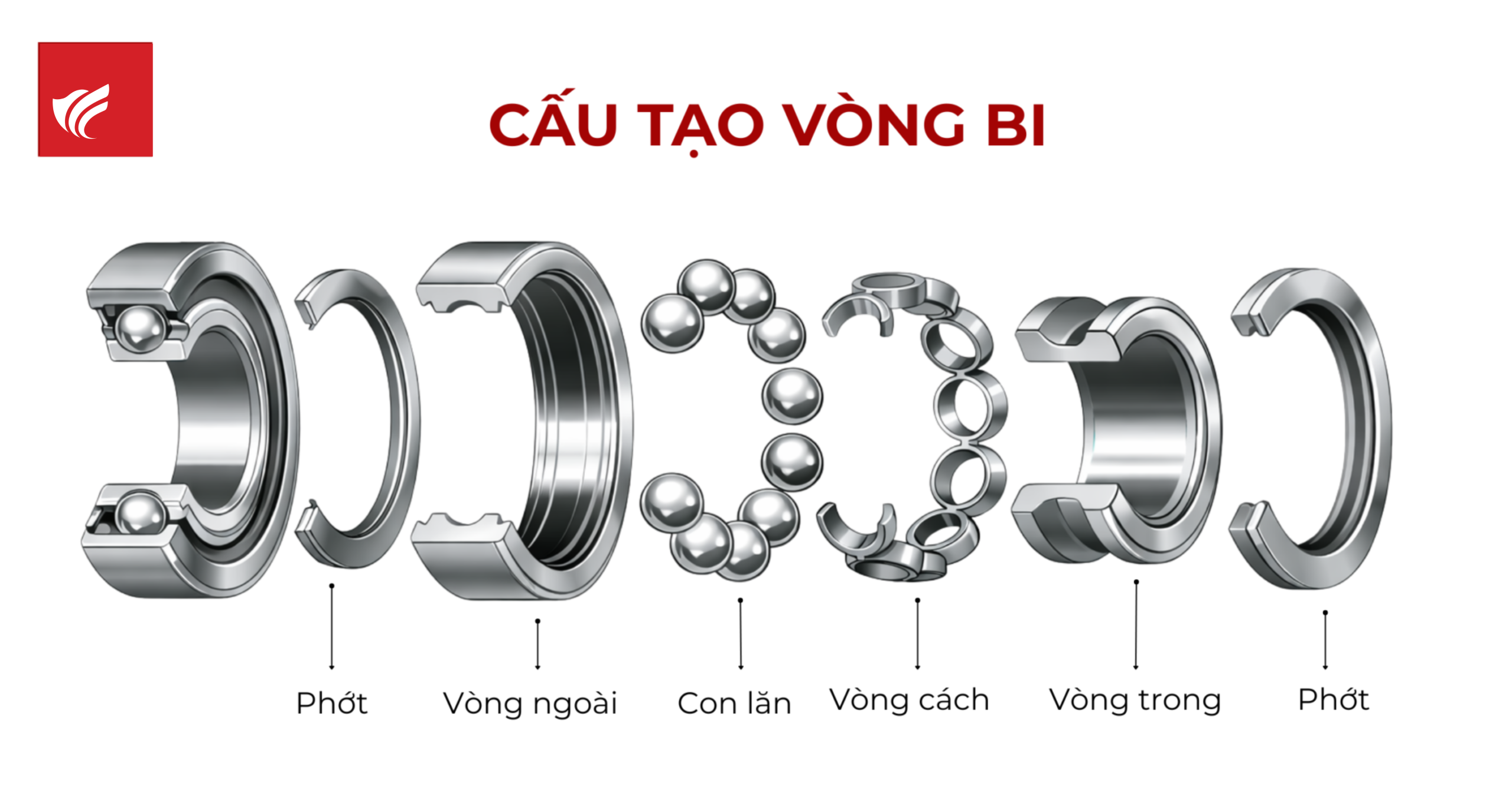 Cấu tạo vòng bi
