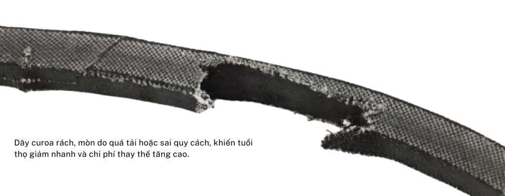 vấn đề dây curoa